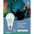 Lampada Smart Inteligente Wi-Fi 10w INTELBRAS - Led Bulbo RGBw EWS410