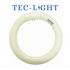 Lampada Circular 22 W Luz Branca Fria Techlight