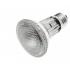 Lampada PAR20 110V 50W 2.800k Ourolux 