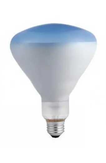 Lampada Plantlight 110V 65W Refletora UV