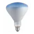 Lampada Plantlight 110V 65W Refletora UV
