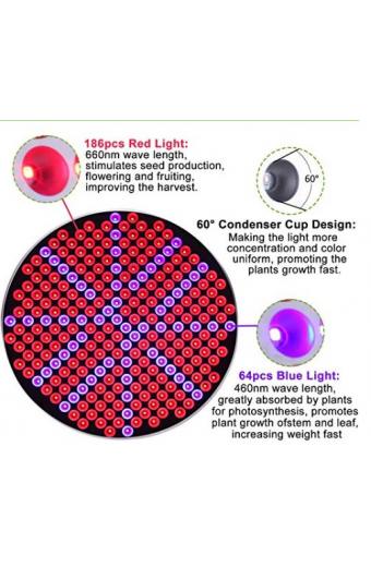 Luminaria Led Grow 50w Full Spectro para Cultivo Indoor 