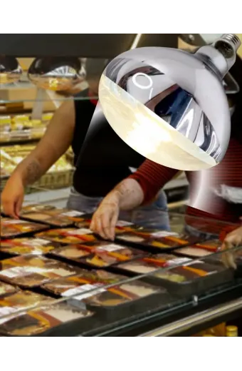 Lampada Infra-Vermelho Secagem 250w 220v Philips