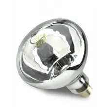 Lampada Infra-Vermelho Secagem 250w 220v Philips