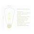 Lampada Led Vintage ST64 Embuled Filamento Gaiola 4W 2200K 