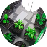 Aquecimento e Secagem